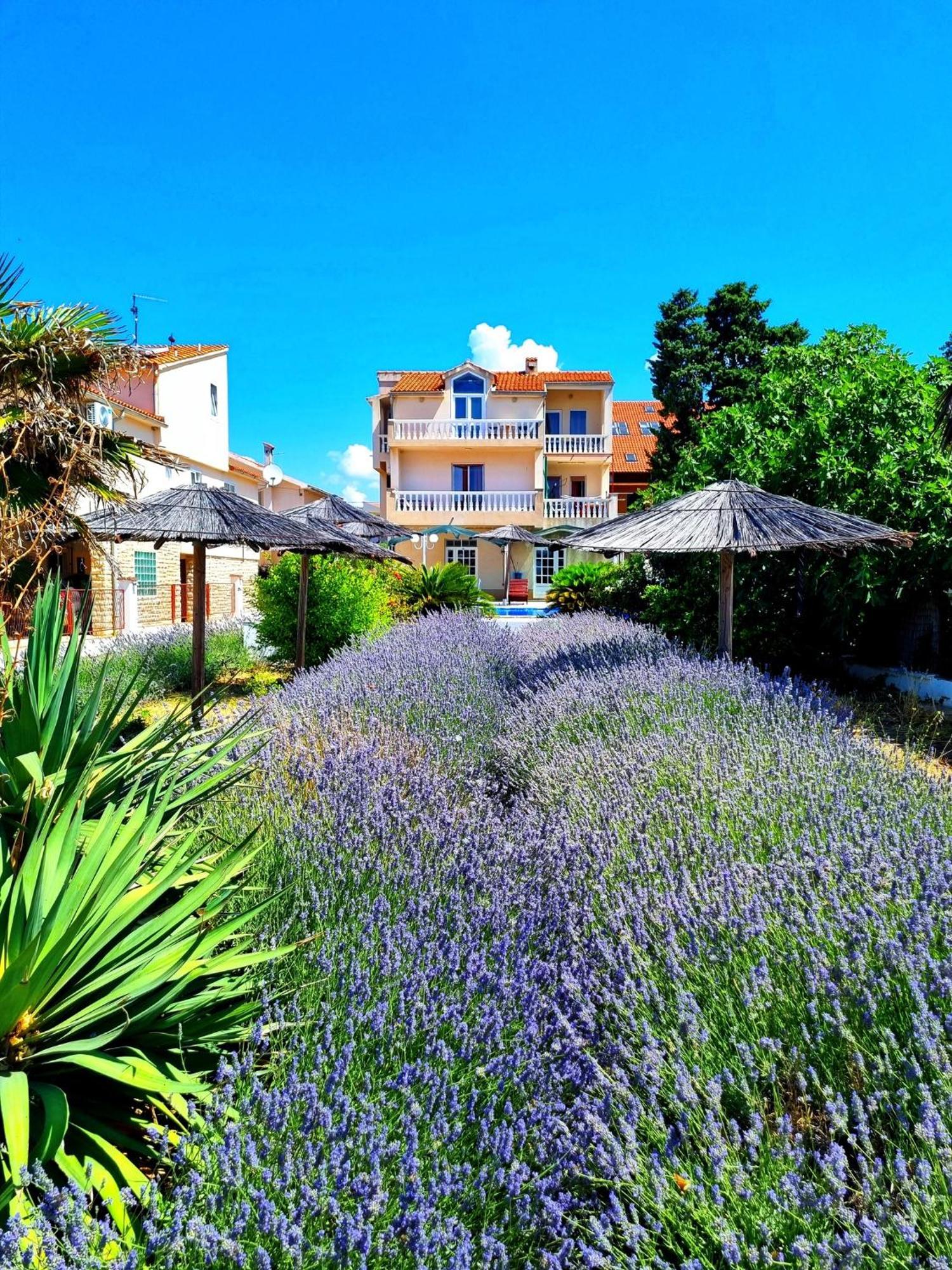 Villa Lana Tribalj Extérieur photo
